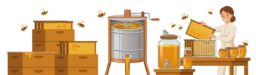 produzione-miele-scaled-e1786578858571.png